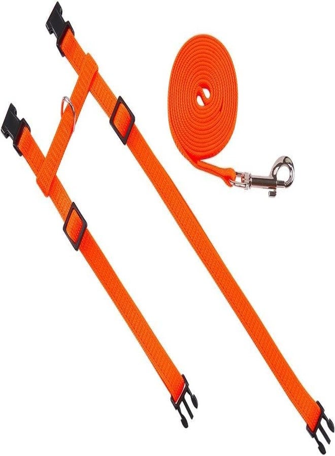 KittuPet Cat Harness and Leash Adjustable Nylon Halter Harness Kitten Nylon Strap Belt Safety Rope Leads (Orange) - Image 5